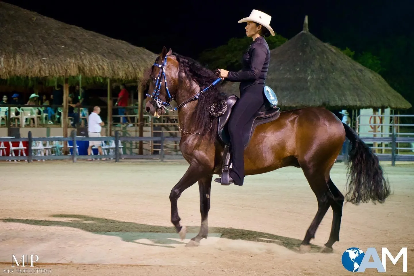 Rider in a cowboy hat on a horse in the arena at night in Aruba