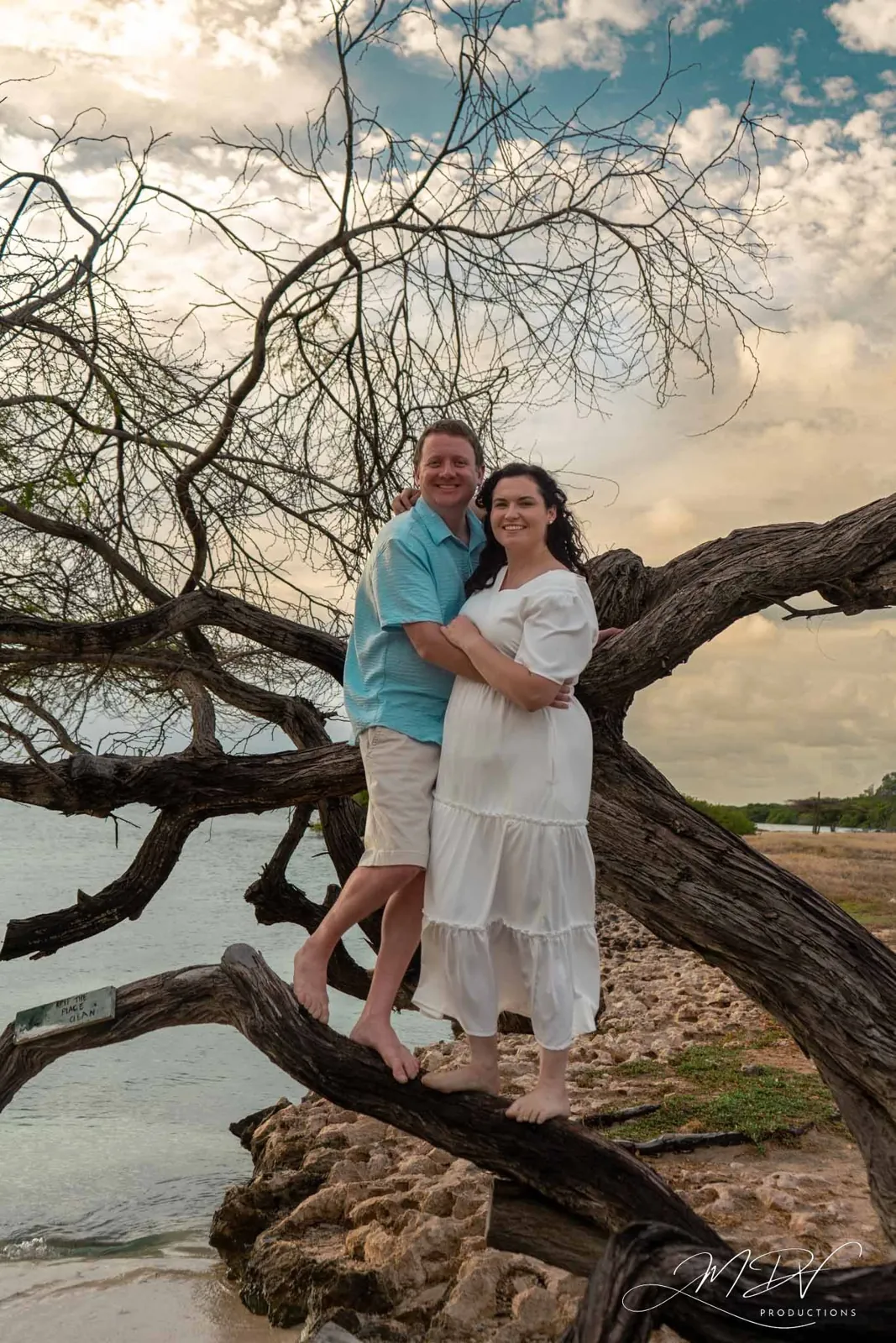 Couple standing on a driftwood tree by the sea in Aruba