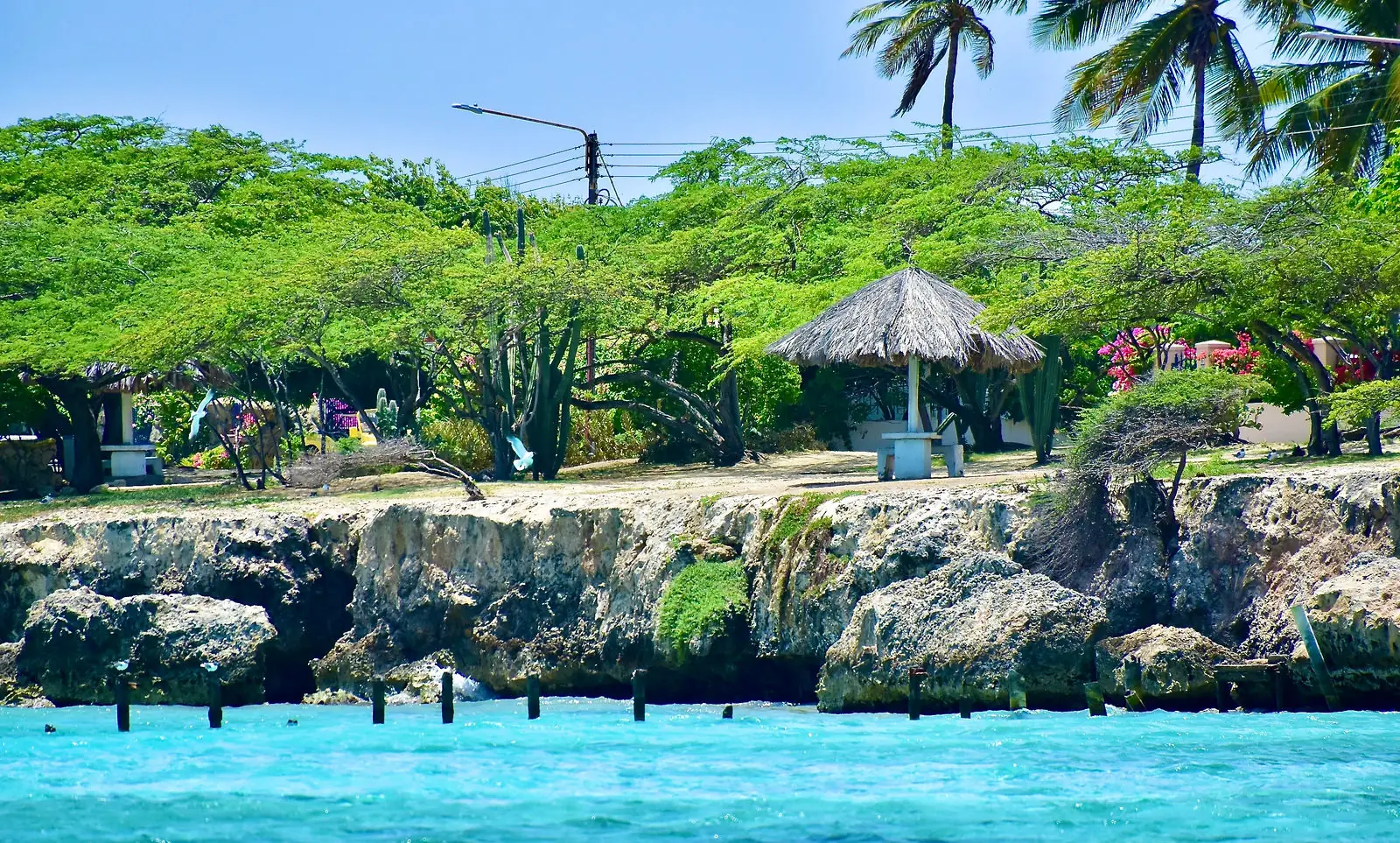 Turquoise water along the rocky coast with a palapa hut in Aruba
