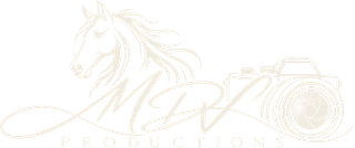 MDV Productions logo