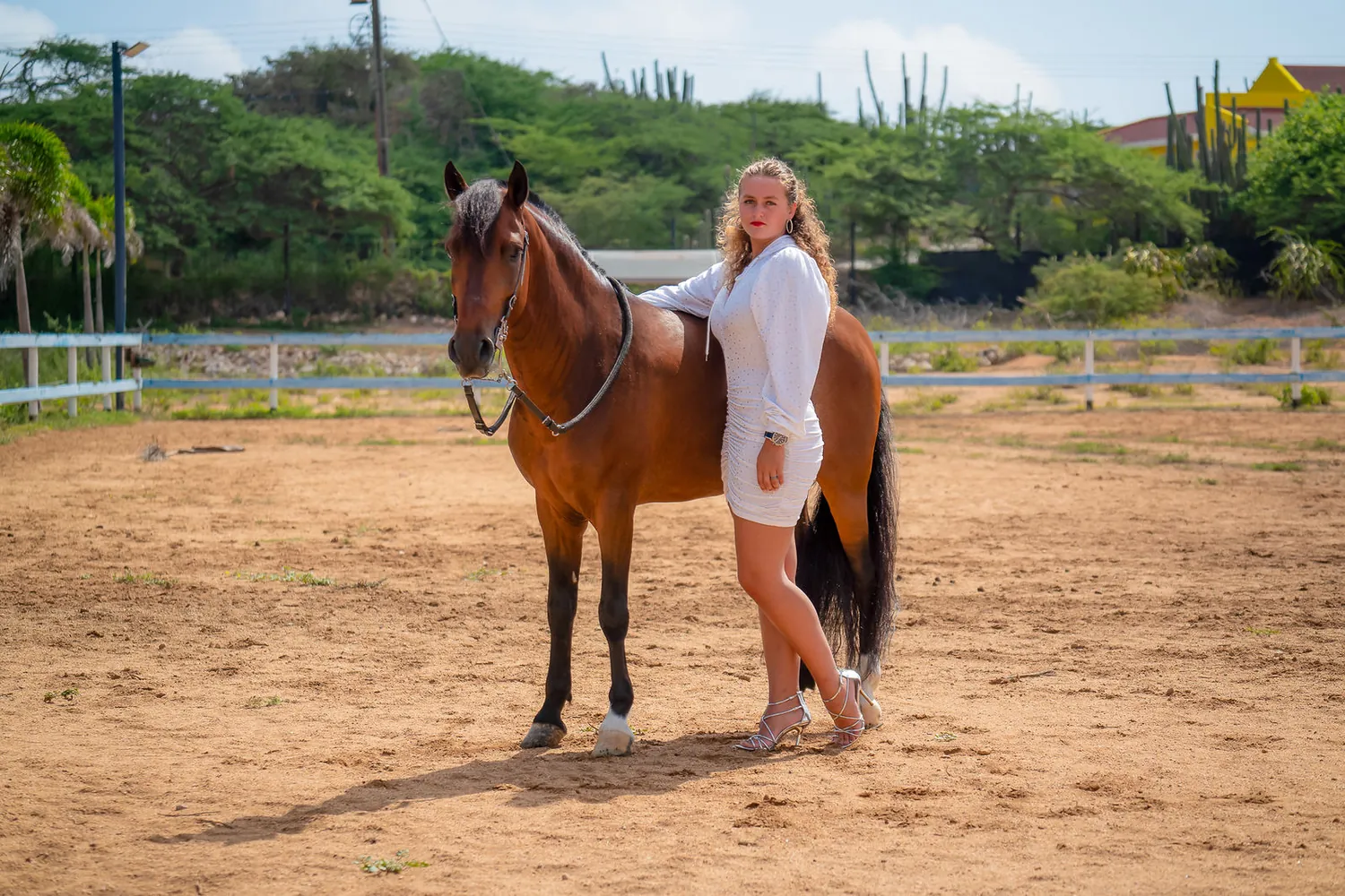 Woman in white standing beside Prometido in the riding arena on Aruba